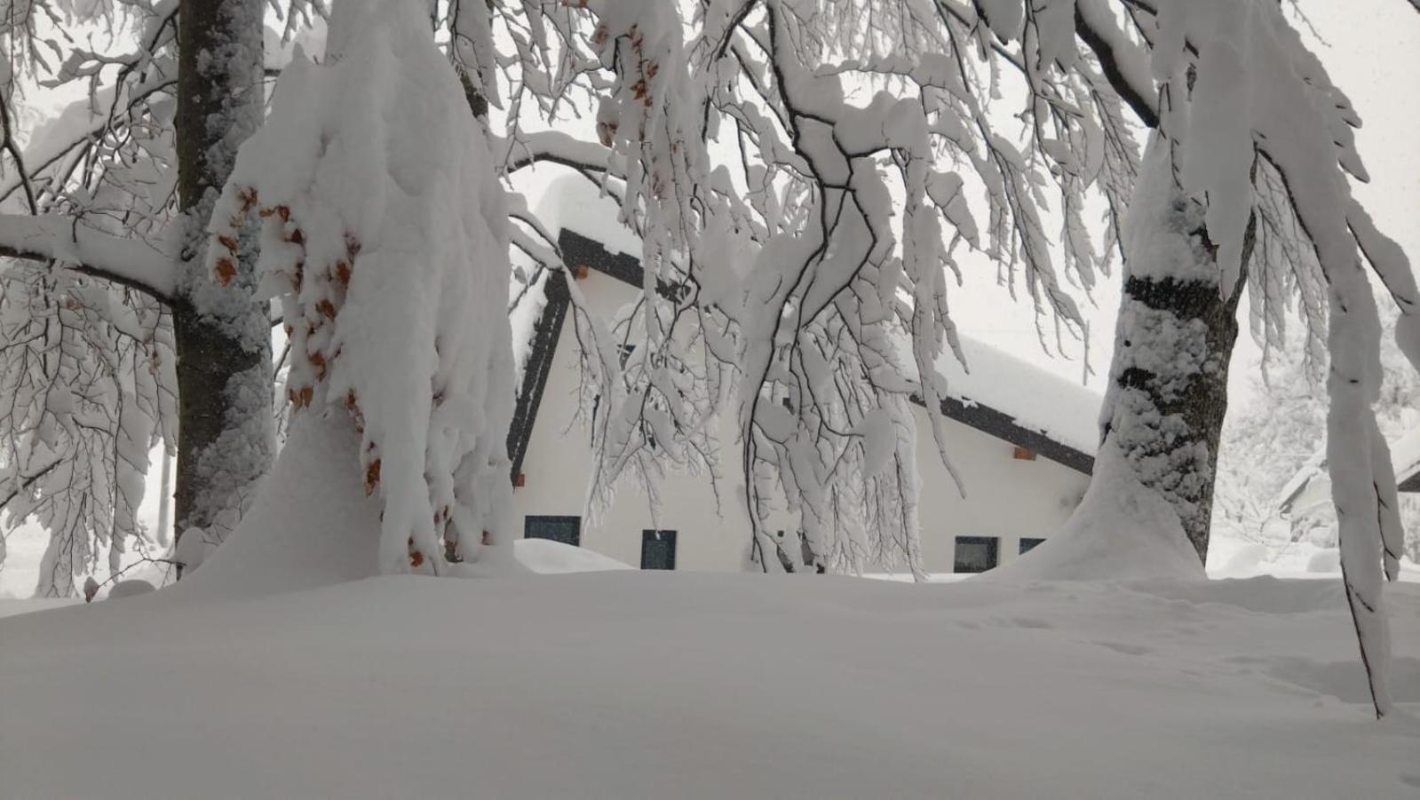 Brusane Oak House 빌라 외부 사진